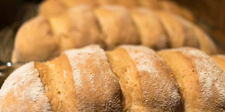 close-up photo of bread