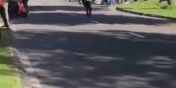 ezgif-3-5e8c58340f-1