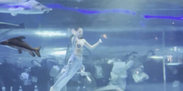 Zeemeermin overkomt het onverwachte tijdens show in een groot aquarium