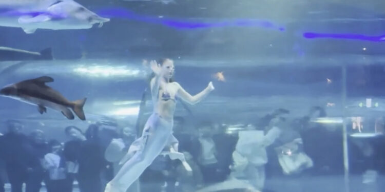 Zeemeermin overkomt het onverwachte tijdens show in een groot aquarium