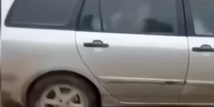 Lid van Tali in Afghaanse stad Herat betrapt op met ander gaan in auto