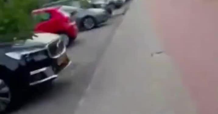 ezgif-106f4f2a368f89 (1)