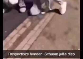 ezgif-8d070f0c590f78