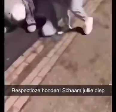 ezgif-8d070f0c590f78