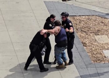 rapidsave.com_1_guy_vs_3_cops-yp06bl42al5f1-1 (1)