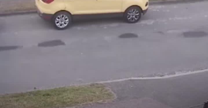 redditsave.com_hmft_after_i_vandalise_cars_get_wrecked_by_a-18cc5gwdnvs71-1