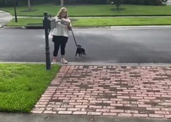 x-downloader.com_ngL1LU (1)