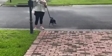 x-downloader.com_ngL1LU (1)