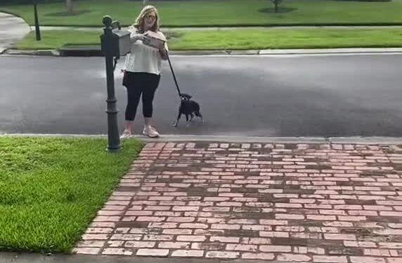 x-downloader.com_ngL1LU (1)